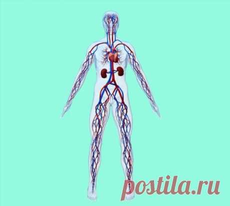 «Тростник на ветру»— упражнения Кацудзо Ниши для тех, у кого постоянно мерзнут руки и ноги | Краше Всех