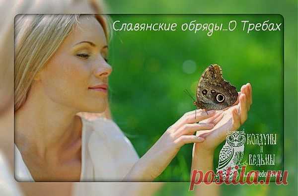 ТРЕБЫ РОДНЫМ БОГАМ | Велемудр