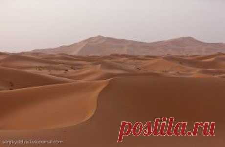 Пустыня Сахара