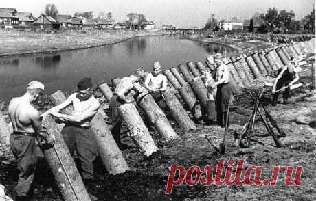 75-летию разрыва кольца блокады Ленинграда, памяти всех кто погиб, посвящается...