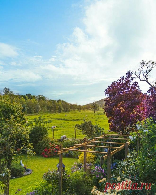 Сад в английском стиле. Красивые фотографии ландшафтного дизайна, подробное описание стиля на сайте womlifeclub.ru #стилиландшафтногодизайна #английскийстильландшафтногодизайна #ландшафтныйдизайнфото #ландшафтныйдизайнучасткасвоимируками #wom_ландшафтныйдизайн #womlifeclub