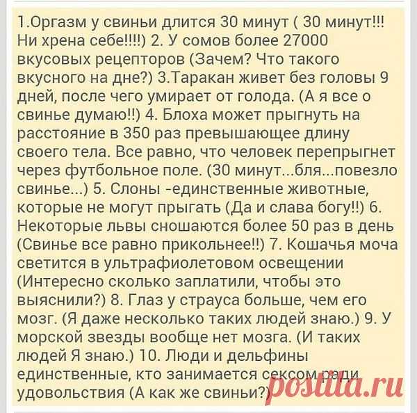 Интересные новости