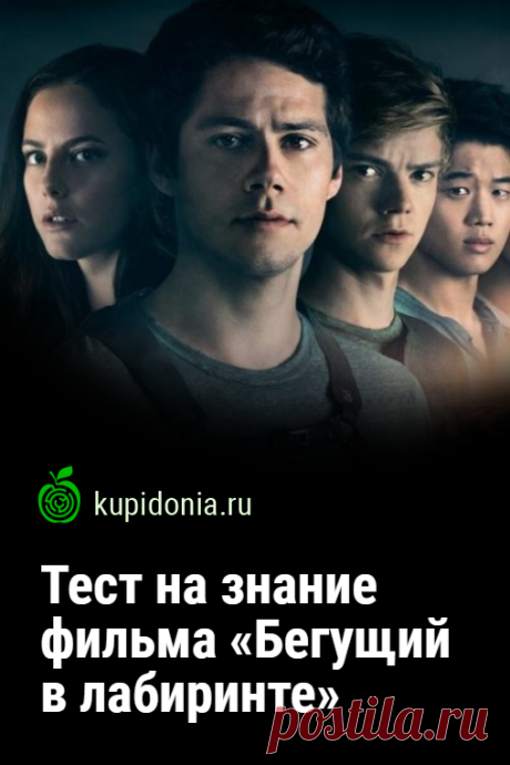 Тест на знание фильма «Бегущий в лабиринте».
