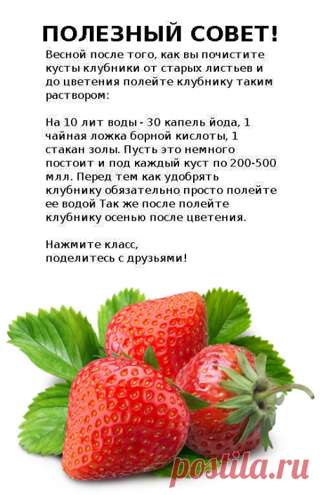 4 непрочитанных чата