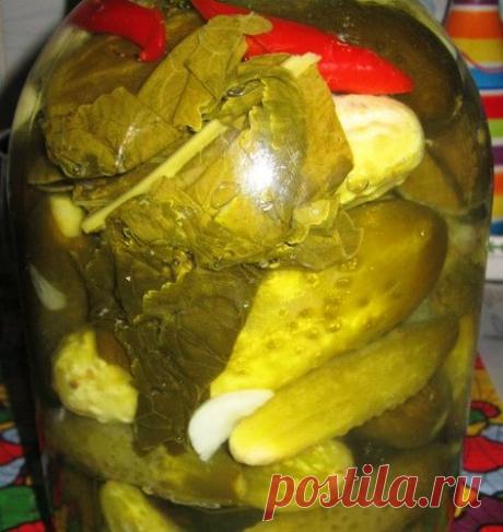 Огурцы из под крана