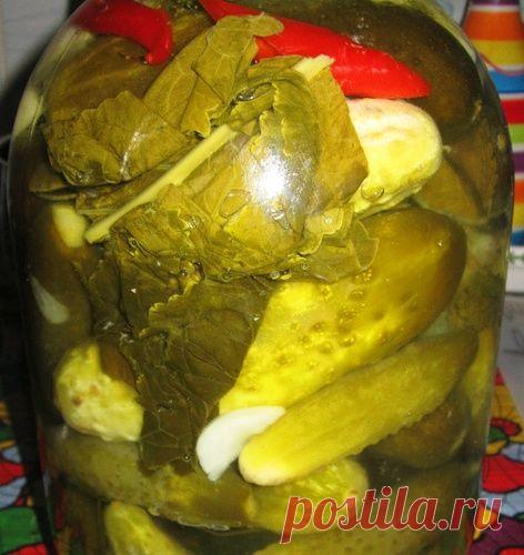 Огурцы из под крана