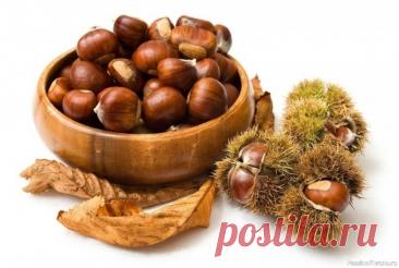 Каштан в народной медицине Каштан – довольно распространенное растение из семейства Буковых. Оно не только чарует взор своей красотой, а еще и широко используется в народной медицине.&nbsp;Состав и полезные вещества плодов каштана&nbsp;минеральные вещества: магний, железо, кальций, калий, магний, фосфор и...