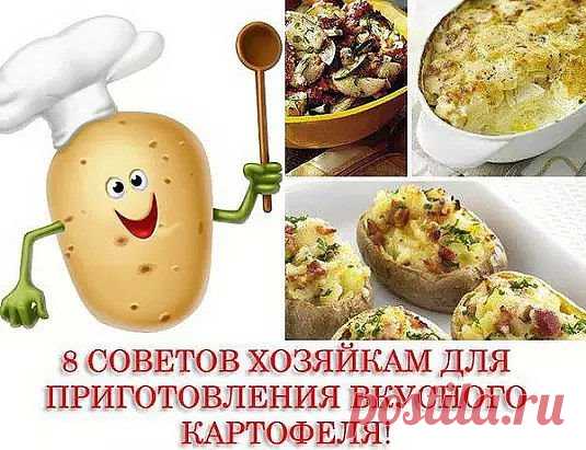 Сохрани себе на страницу!
1. Отварной картофель будет вкуснее, если добавить в воду 3–4 зубчика чеснока, луковицу или немного укропа.
2. Картофель быстрее сварится, если в воду добавить ложку маргарина.
3. Чтобы на старом картофеле при варке не появились синие пятна, в воду нужно добавить немного уксуса.
4. Молодой картофель легко очистится, если предварительно опустить его в холодную воду.
5. Картофель жарят на предварительно разогретой сковороде и сильном огне, потом его уменьшают. Перед жарко