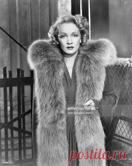 actress-marlene-dietrich-picture-id526867352 (814×1024)
