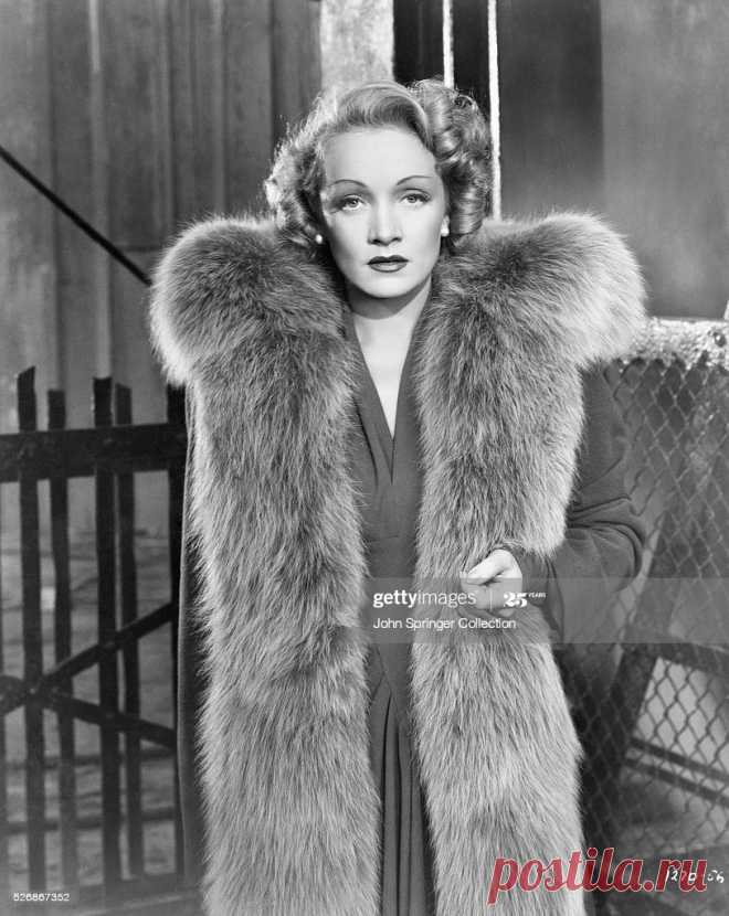 actress-marlene-dietrich-picture-id526867352 (814×1024)
