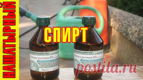 (11) Одноклассники