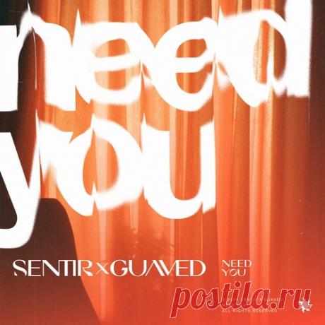 sentir, Guaved - Need You (Extended) free download mp3 music 320kbps