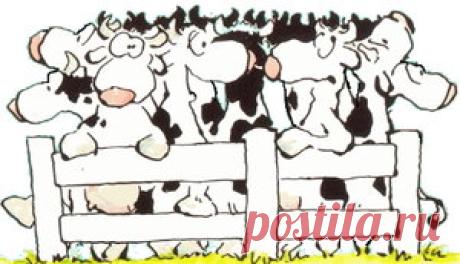 Leendert Jan Vis Cliparts » Animaatjes.nl