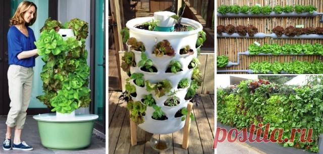 20+ Vertical Vegetable Garden Ideas | Home Design, Garden & Architecture Blog Magazine
