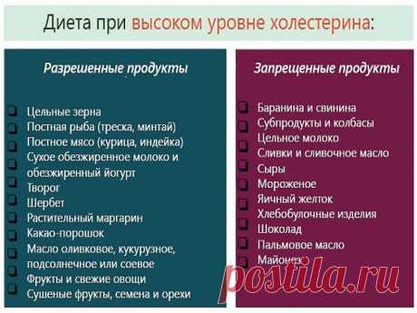 Липримар и Аторвастатин что лучше, чем отличаются препараты и какой эффективнее?