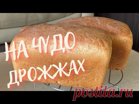 Готовлю АРОМАТНЕЙШИЙ ХЛЕБ как на закваске, НО на размноженных дрожжах! Все проще простого!