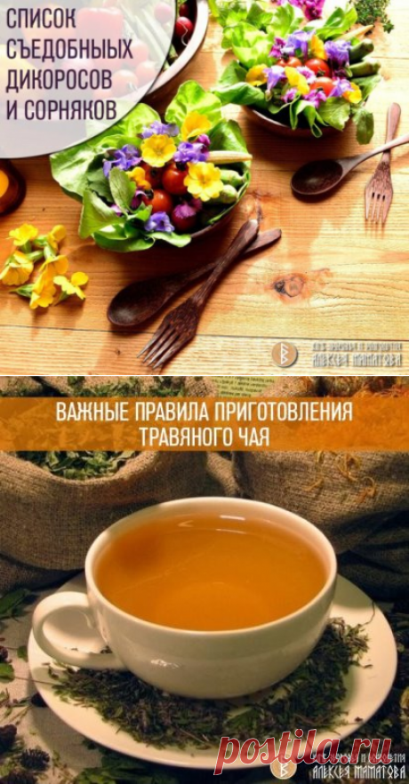 3 непрочитанных чата