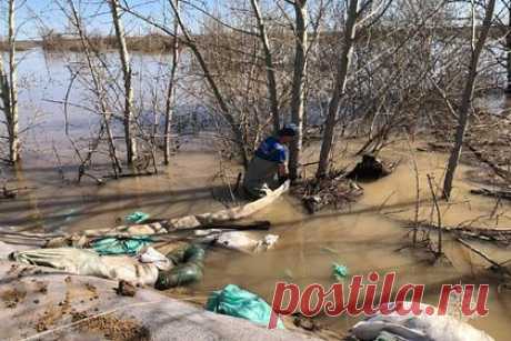 В тюменском селе Абатское остановился подъем уровня воды