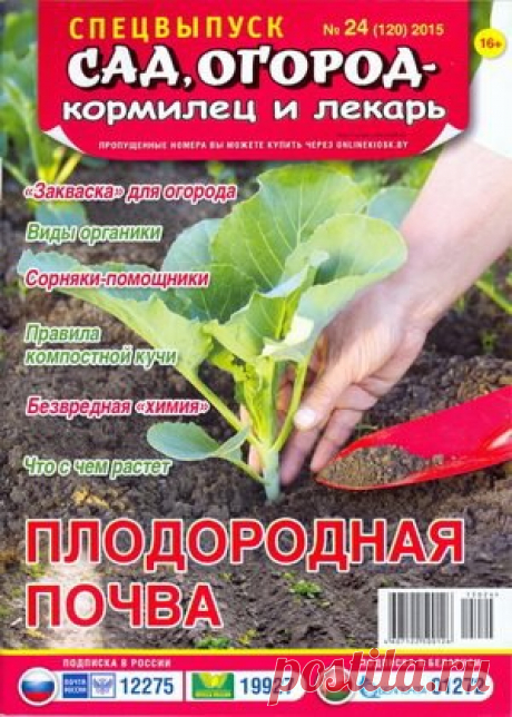 Мир журналов