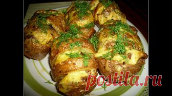 Картошка-гармошка в духовке – рецепты с сыром, беконом, грибами, курицей, колбасой