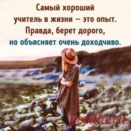 высказывание