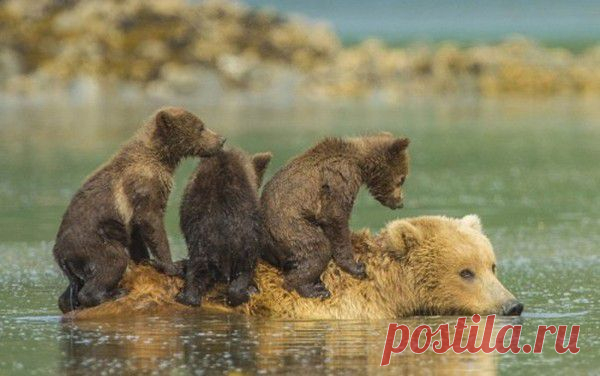 Мой Мир@Mail.Ru