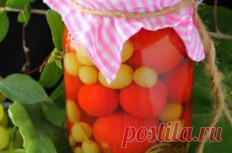 Маринованные помидоры с виноградом. Вкус получается такой, что потом не оторвешься!
