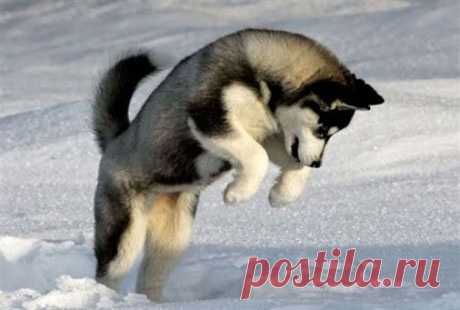 Google+