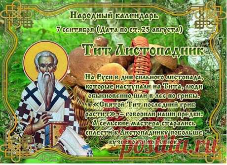 Тит Листопадник. В этот день в народе начинается активный сбор грибов, заканчивается сбор груш и рябины, и наблюдается, как опадают первые листья с деревьев.