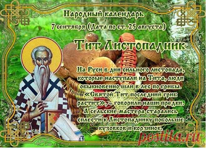 Тит Листопадник. В этот день в народе начинается активный сбор грибов, заканчивается сбор груш и рябины, и наблюдается, как опадают первые листья с деревьев.