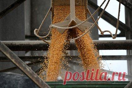 Володин назвал условия возобновления зерновой сделки. Возобновление зерновой сделки возможно лишь при выполнении обязательств перед Россией, а также при неиспользовании зернового коридора для террористических атак. Об этом заявил спикер Госдумы Вячеслав Володин. По его словам, Украина регулярно использует гумкоридор для прикрытия террористических атак.