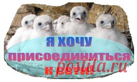Программа мониторинга редких видов