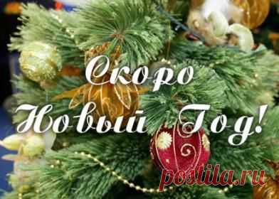 НОВОГОДНИЙ - 50 фото. Фотографии zoja simonova.
