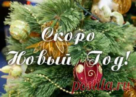 НОВОГОДНИЙ - 50 фото. Фотографии zoja simonova.