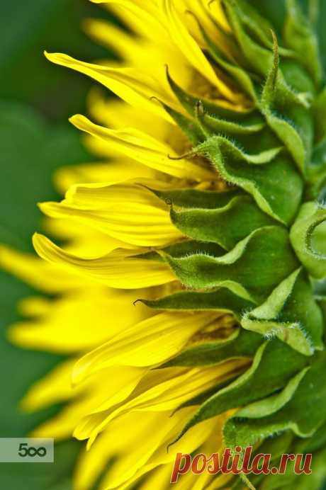 Il colore e' poesia dell'anima