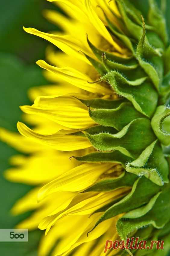 Il colore e' poesia dell'anima