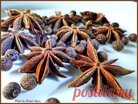 Бадьян относится к разновидности аниса и представляет собой небольшое вечнозеленое дерево, которое растет в тропиках. По-другому он называется звездчатый анис, так как плоды бадьяна по форме напоминают звездочку, в которой насчитывается от семи до двенадцати лучиков.