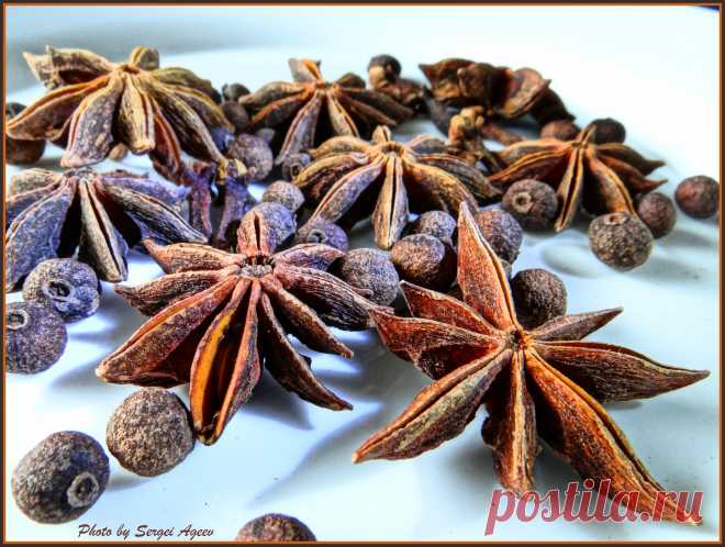 Бадьян относится к разновидности аниса и представляет собой небольшое вечнозеленое дерево, которое растет в тропиках. По-другому он называется звездчатый анис, так как плоды бадьяна по форме напоминают звездочку, в которой насчитывается от семи до двенадцати лучиков.