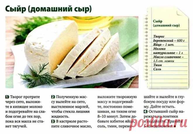 сыр из молока в домашних условиях рецепт с фото пошагово: 2 тыс изображений найдено в Яндекс.Картинках