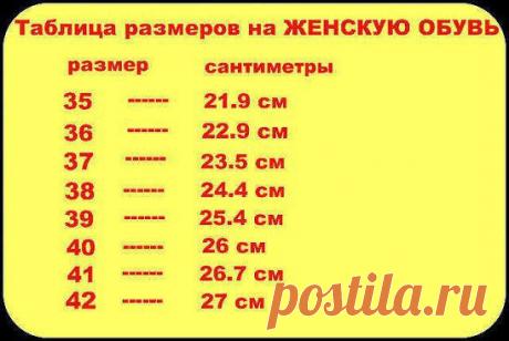 (6) Одноклассники