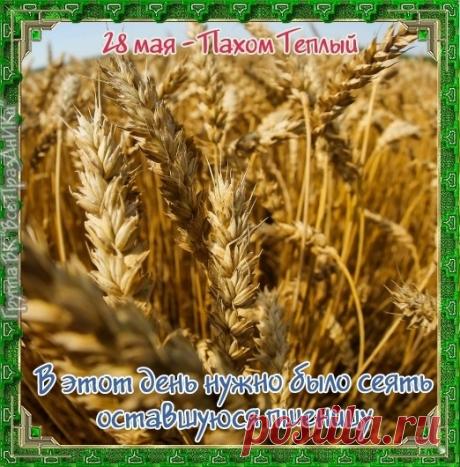 С Пахомом Теплым! Пусть солнце греет не только на улице, но и в душе. Прекрасного и легкого дня! Открытки на Пахом Теплый!