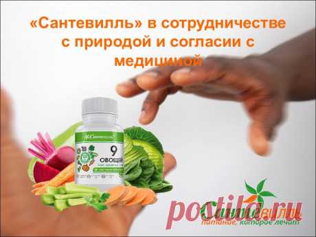 Живые Витамины - альтернатива БАД   Состав продуктов «Сантевилль» существенно отличается от составов большинства БАД, так как содержит исключительно пищевые ингредиенты, что и делает их полностью безопасными. Причем все пищевые ингредиенты представлены в нативном состоянии, не изменяющем природного состава и структуры молекул всех без исключения биологически активных веществ растений, составляющих содержание всей серии продуктов.