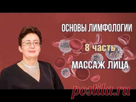 Основы лимфологии | Массаж лица | Шишова Ольга | часть 8