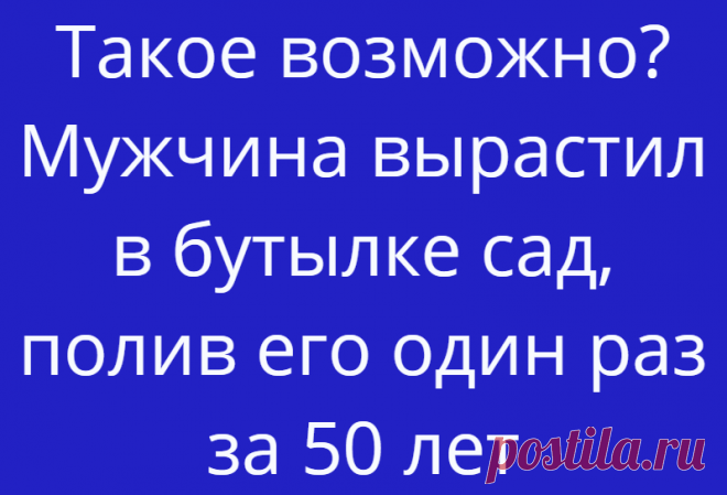 Такое возможно? Мужчина вырастил в бутылке сад, полив его один раз за 50 лет
В 60-е годы выращивать сады в стеклянных бутылках было модным хобби. Дэвид Латимер...
Читай дальше на сайте. Жми подробнее ➡