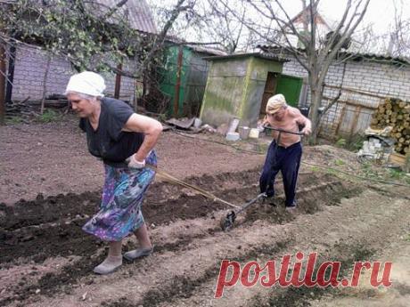 Весной удобрением почву не испортишь | НА ЗАВАЛИНКЕ