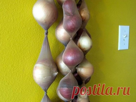 15 новых способов хранения продуктов / Домоседы