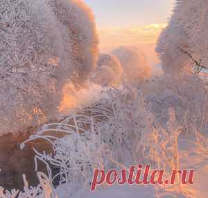 Фотографии — Страница 7 — National Geographic Россия