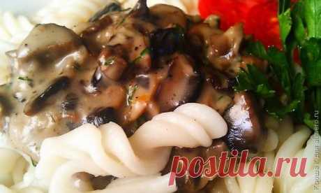 👌 Соус французский грибной Бешамель, рецепты с фото Вкусный рецепт Соус французский грибной Бешамель, пошаговый, с фото и отзывами 👍 Блюда из грибов, Соус бешамель, Соусы к мясу, Соус к макаронам, Французский соус
