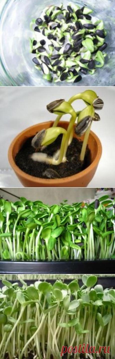 (5) Одноклассники