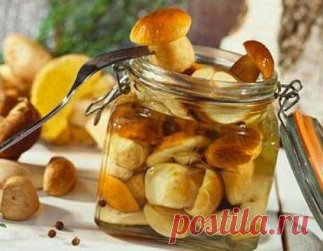Маринованные белые грибы